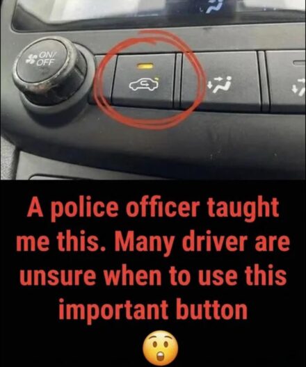 The Hidden Role of the Air Recirculation Button in Your Driving Experience