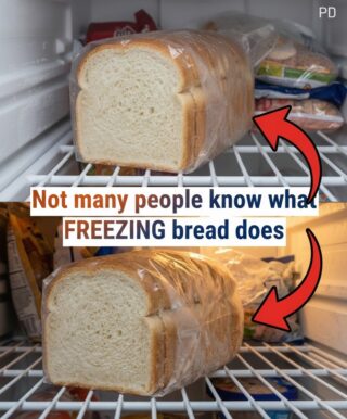 Freezing bread can preserve freshness, but improper storage causes dryness.