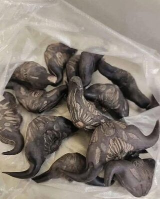 My neighbor gave me a bag of these, anyone know what they are? How do you eat them? 0 Comments