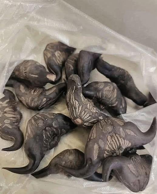 My neighbor gave me a bag of these, anyone know what they are? How do you eat them? 0 Comments