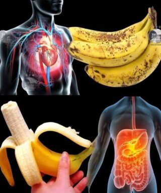 Did you know that eating bananas increases… See more