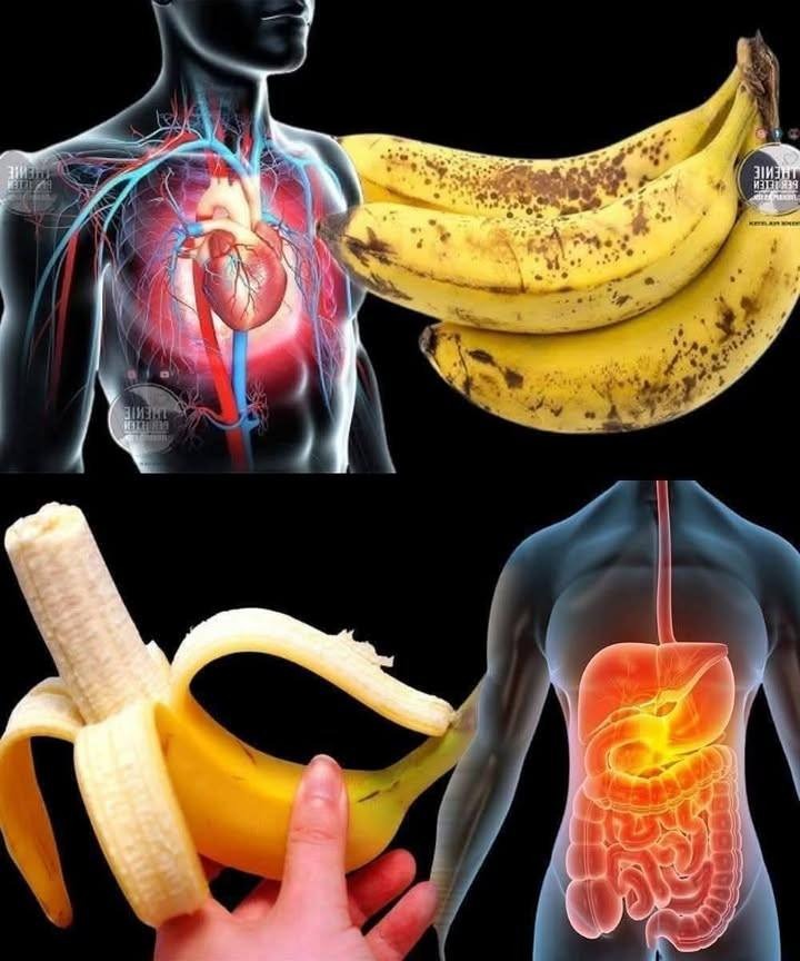 Did you know that eating bananas increases… See more