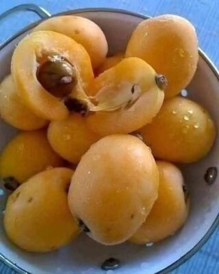 Traditional Apricot (Mishmish) Jam