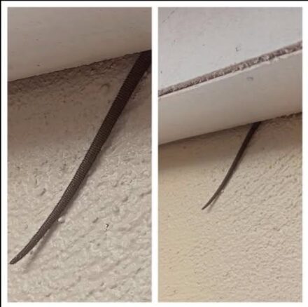 Let’s Talk About the Mystery Above Your Head** You’re lying in bed or walking through your living room when something catches your eye.