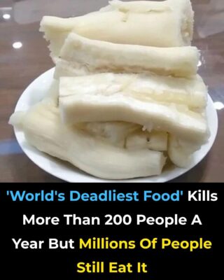 Over 200 People Are Killed By The “World’s Deadliest Food” Every Year, But Almost 500 Million People Still Eat It