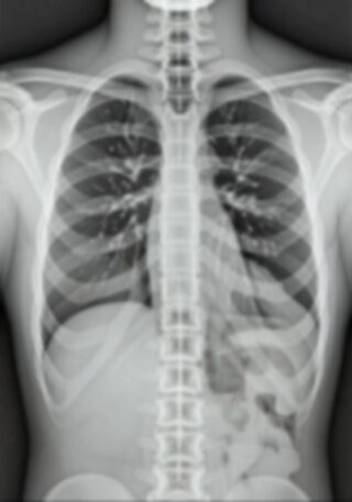 How cloud-based CRM will be key to business productivity in 2025