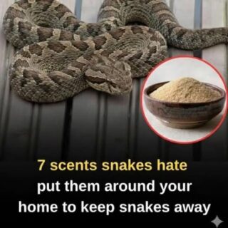 7 Scents Snakes Hate: Natural Ways to Help Keep Snakes Away from Your Home 🐍🌿