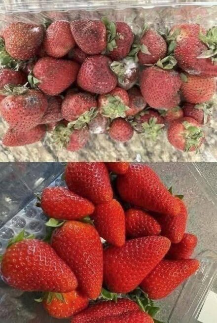 How to Keep Strawberries Fresh Longer: 7 Expert Tips to Prevent Mold and Spoilage
