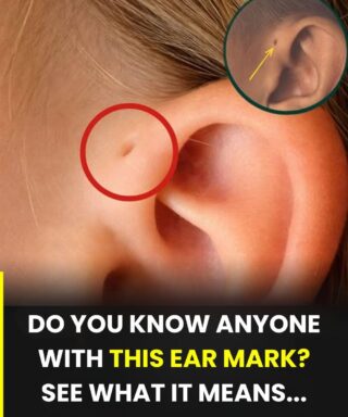 Discover the meaning of this particular mark on the ear.