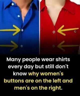 The Real Reason Women’s Shirts Button Differently from Men’s