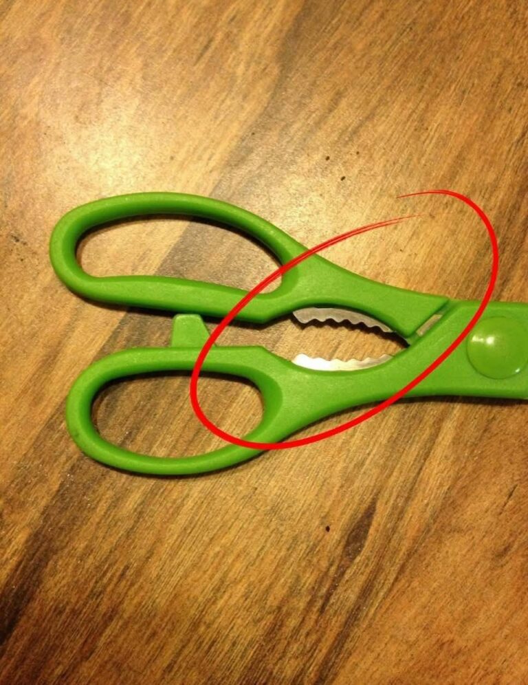 What is that weird serrated part on kitchen scissors for? (You’re ignoring a brilliant tool)