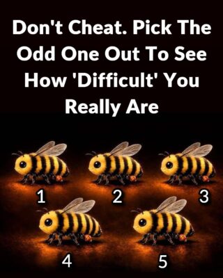 Don’t Cheat. Pick The Odd One Out To See How ‘Difficult’ You Really Are