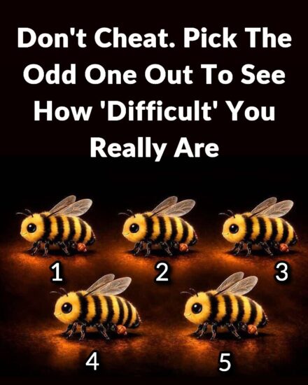 Don’t Cheat. Pick The Odd One Out To See How ‘Difficult’ You Really Are