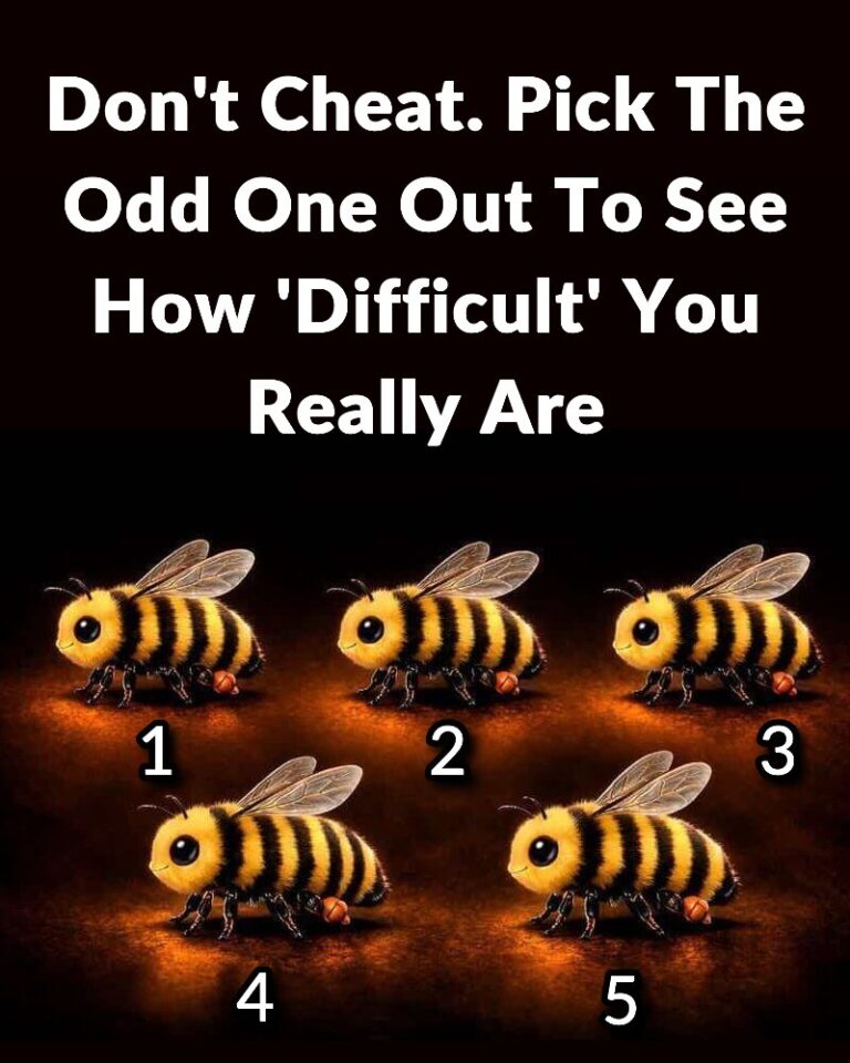 Don’t Cheat. Pick The Odd One Out To See How ‘Difficult’ You Really Are